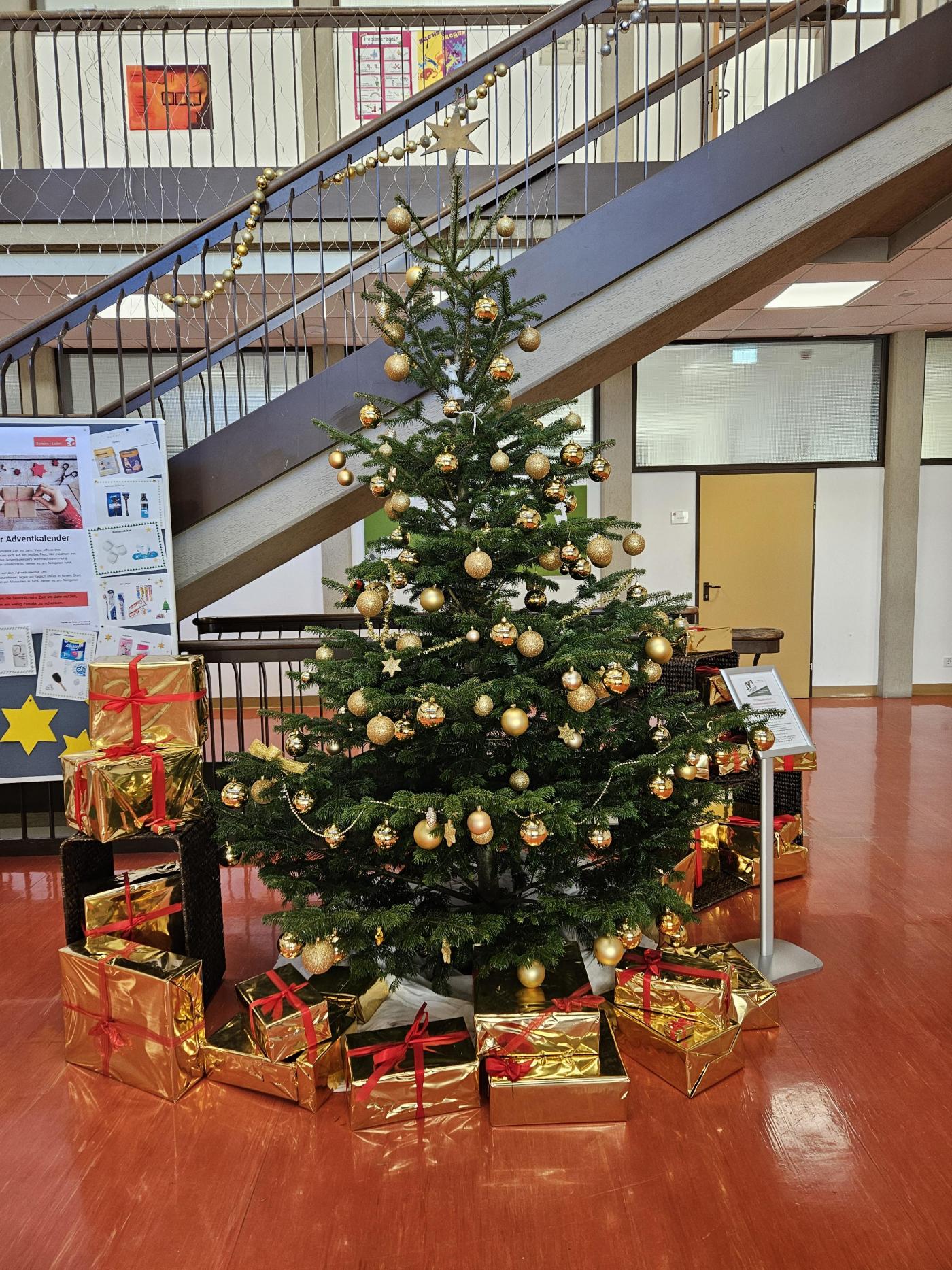 Weihnachtsbaum Aula