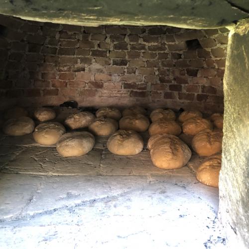 Brote beim Backen