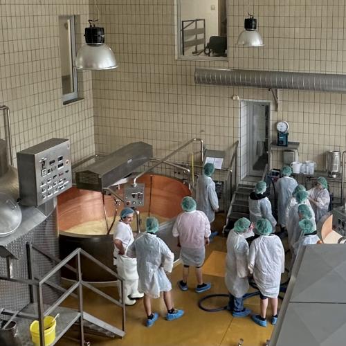 Blick in die Produktion 1