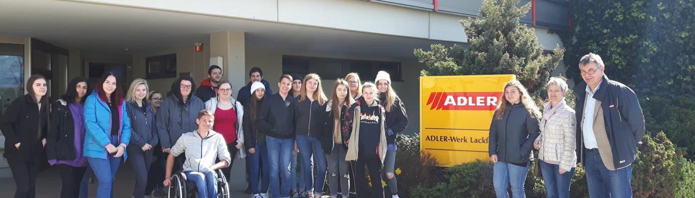 Klasse 1D und 1F