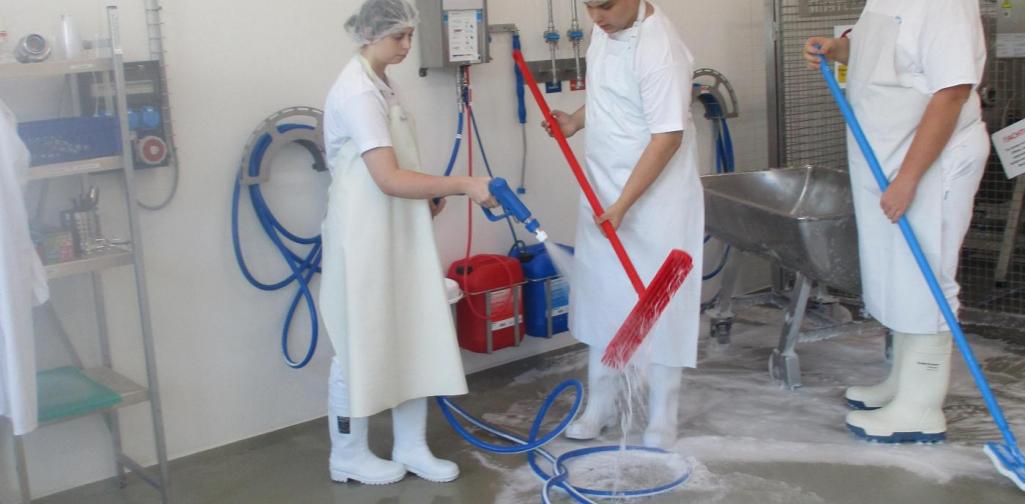 SchülerInnen bei der Reinigung