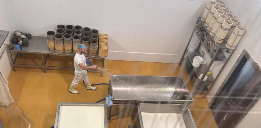 Graukäseproduktion Graukäseproduktion