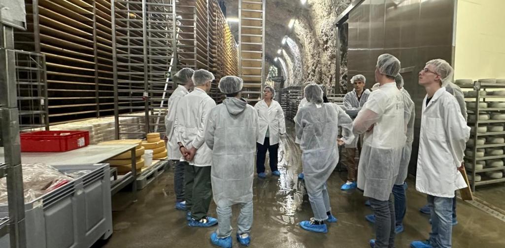 Felsenkeller Plangger 2