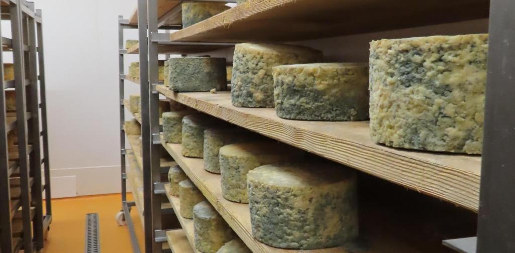 In der Produktion - Heumilchsennerei Fügen 8