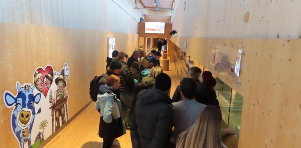 Exkursion in die Erlebnis Sennerei Mayrhofen 2