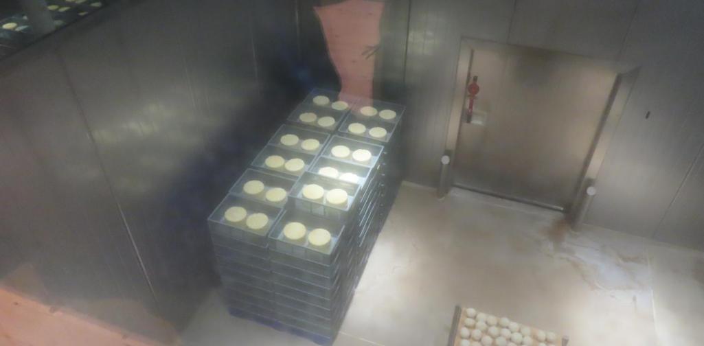 Exkursion in die Erlebnis Sennerei Mayrhofen 7