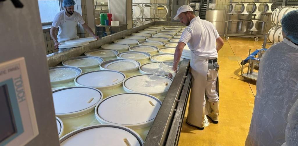 Käsepressen Käsepressen