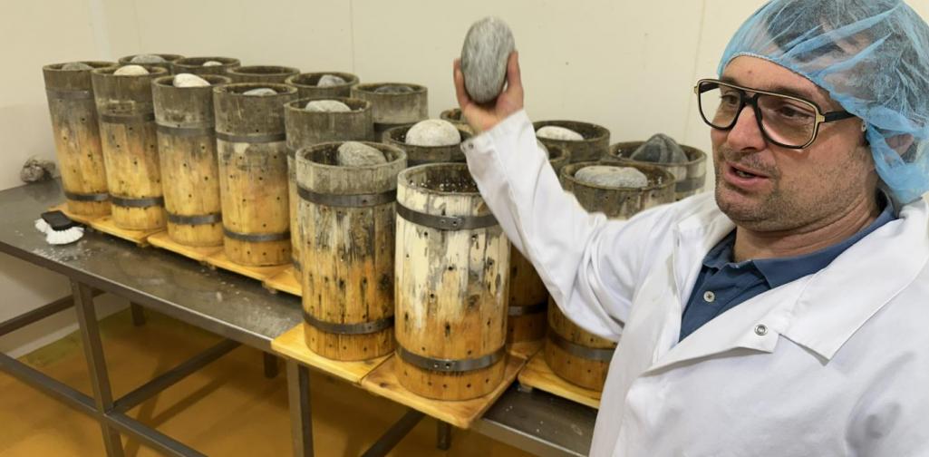 Graukäseproduktion Graukäseproduktion