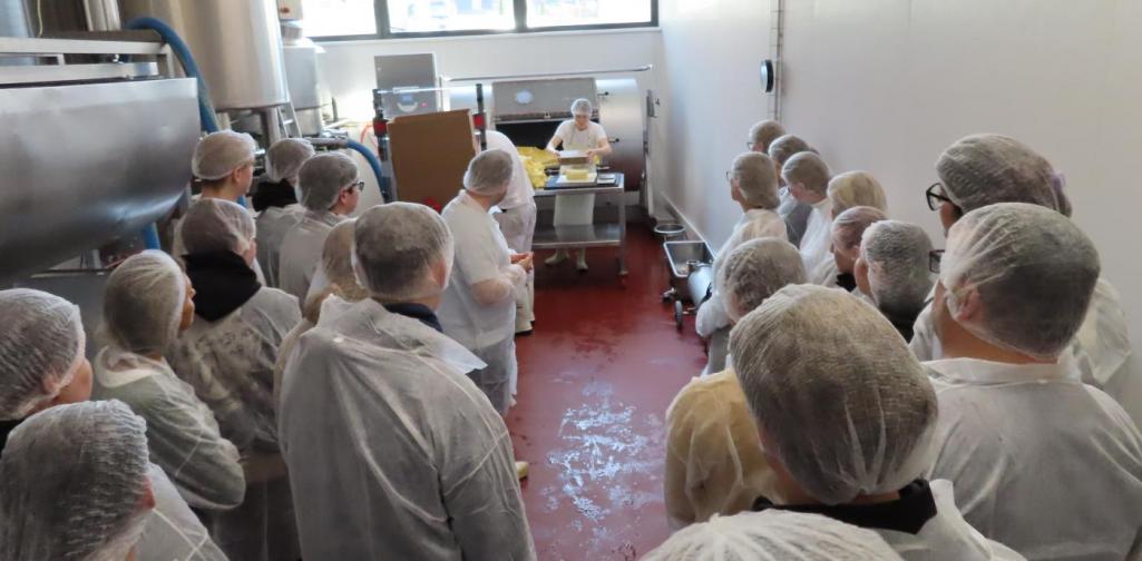 Exkursion Plangger 3